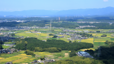 基本料・通話料が安い！ ケーブルプラス電話 通しなら通話無料！
